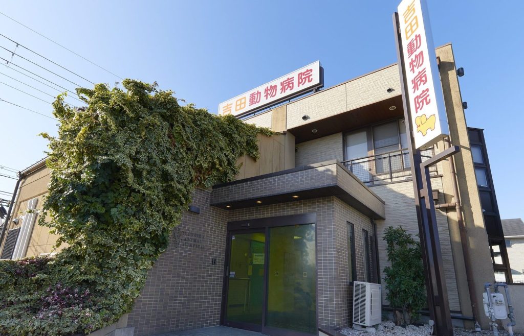 吉田動物病院